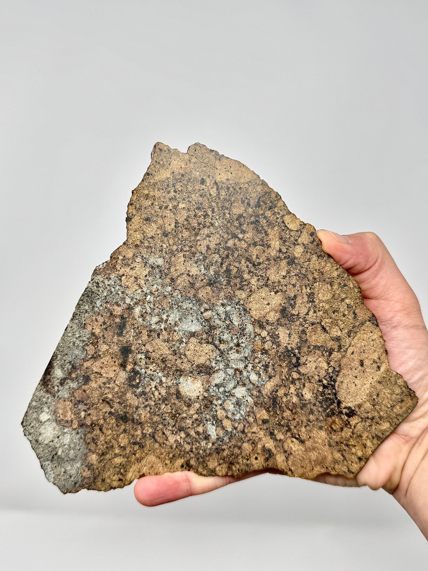 Full Slice of NWA 15953 Diogenite Meteorite -186.2g - Dual Lithology - From An Asteroid!