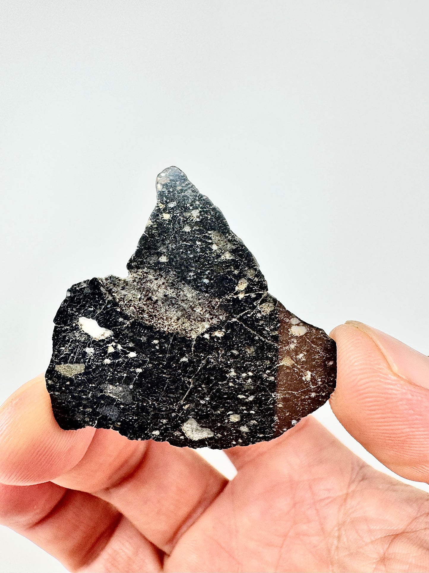NEW! 5.6g Newly Discovered Lunar Breccia - FULL SLICE - A Genuine Piece Of Our Moon!