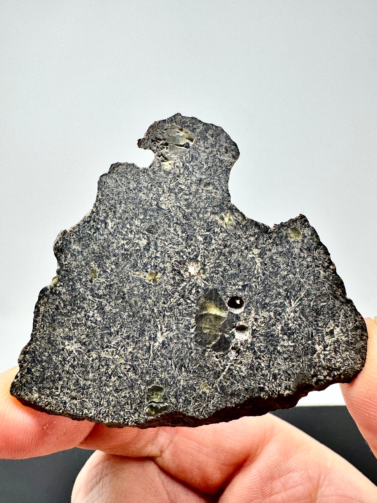 NEA 120 Full Slice - A Rare, Vesicular Angrite Meteorite w/ Needle-Like Matrix And Translucent Crystals! 13.0g