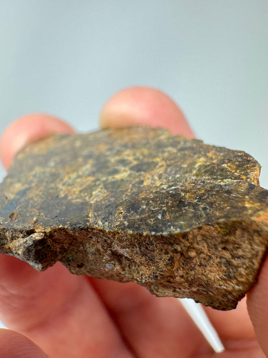 20.6g NWA 16317 Translucent Diogenite Meteorite - RARE END CUT! Parent Body: Asteroid Vesta