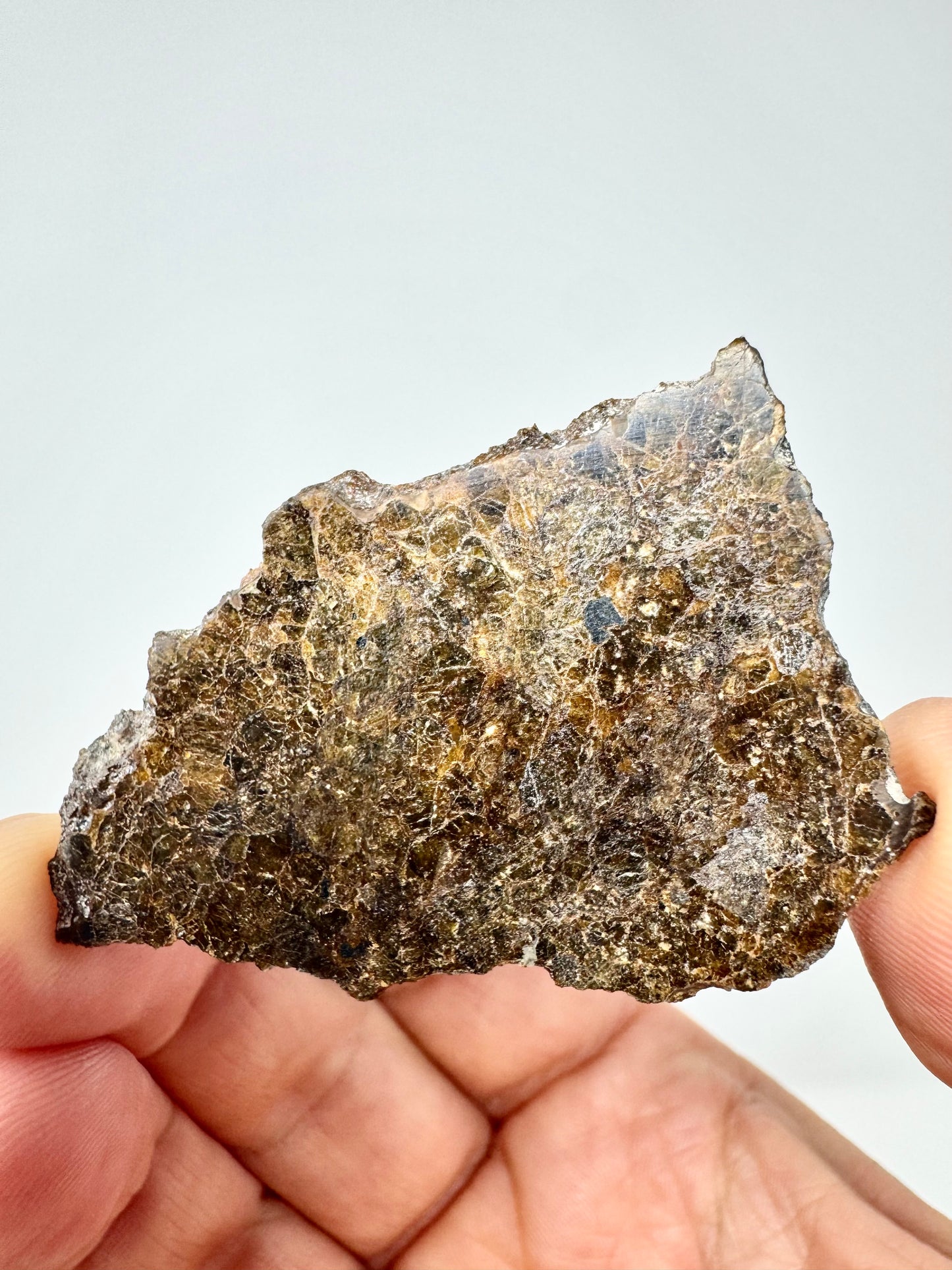 6.2g NWA 16317 Translucent Diogenite Meteorite - Parent Body: Asteroid Vesta