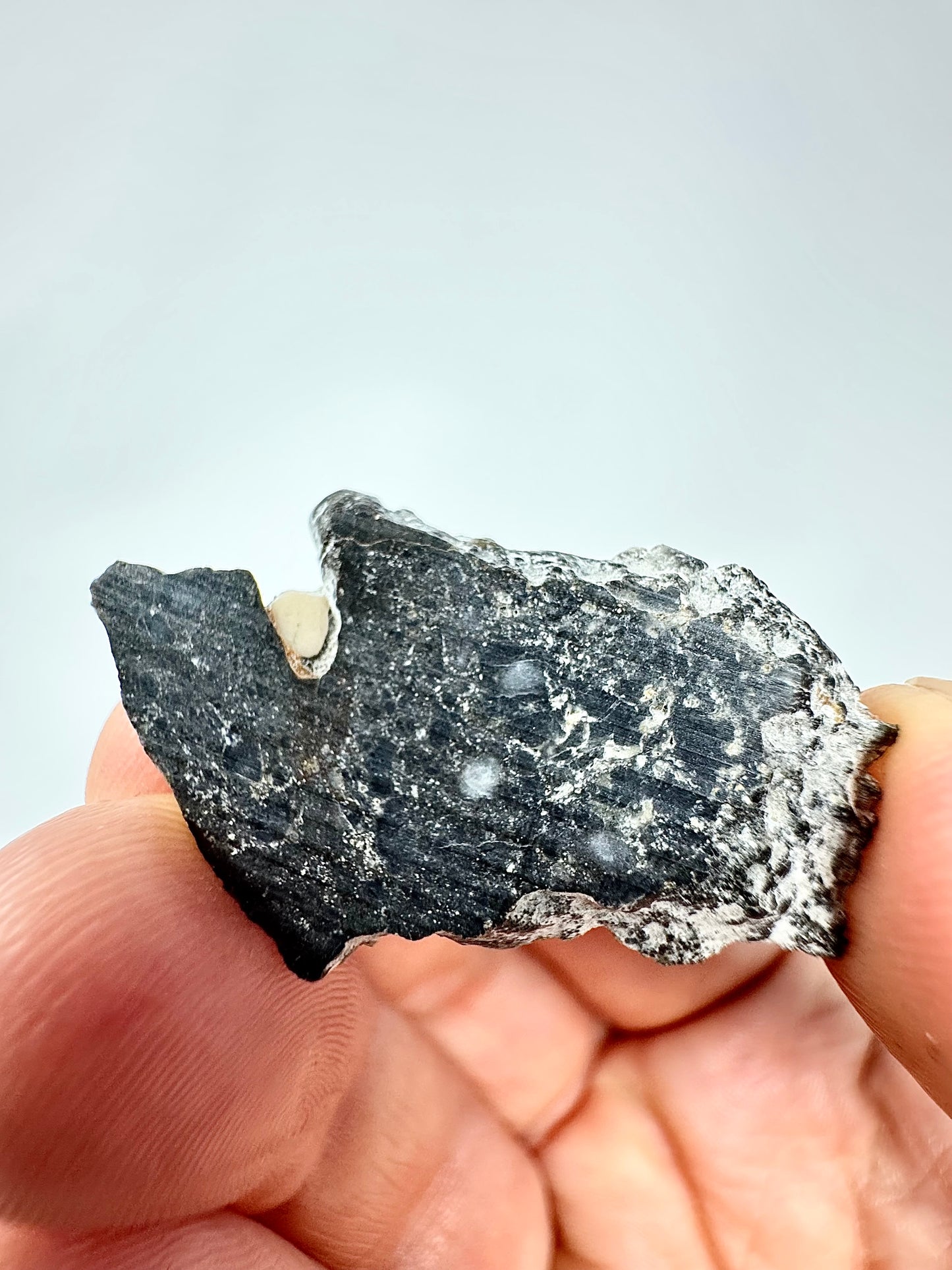 2.8g NWA 17270 Lunar Meteorite - From Our Moon!