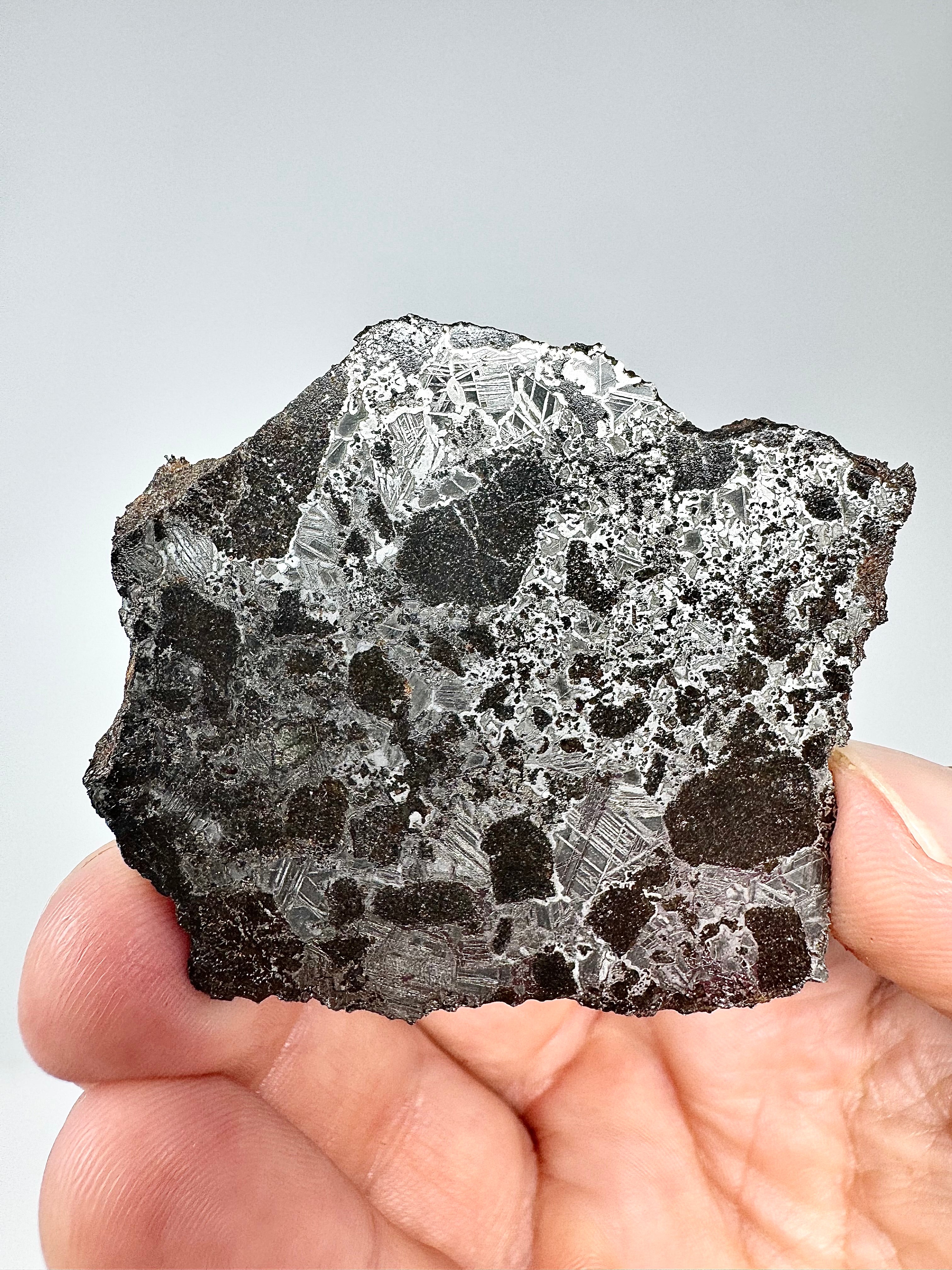 The Interstellar Collection of Meteorites - Newest Arrivals