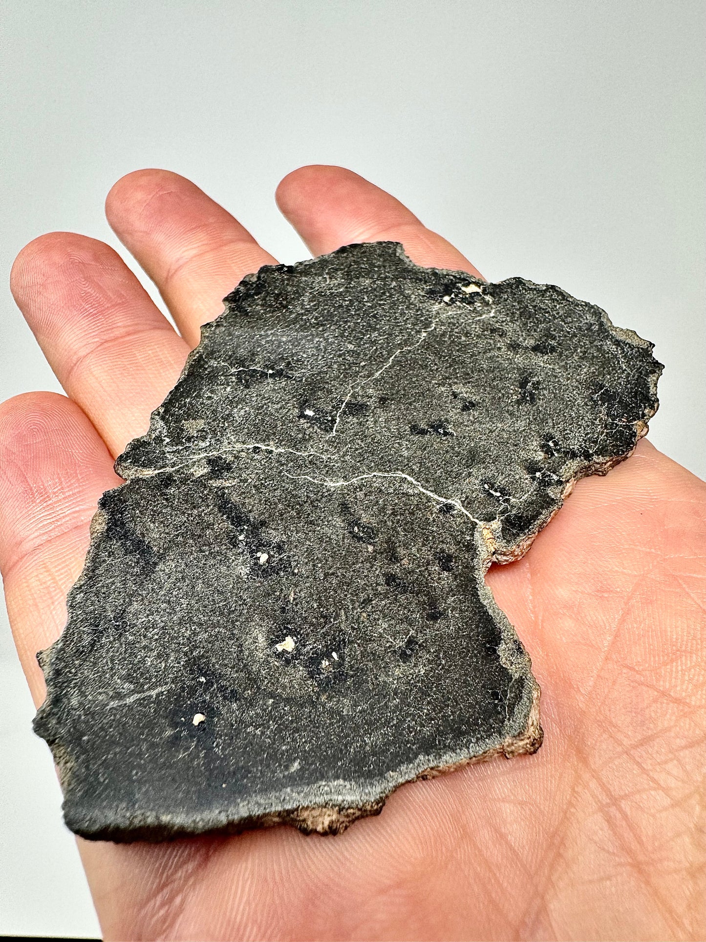 29.7g Genuine Martian Meteorite with Aqueous Alteration - FULL SLICE - Pending Classification - Scientifically Studied Rock From Planet Mars