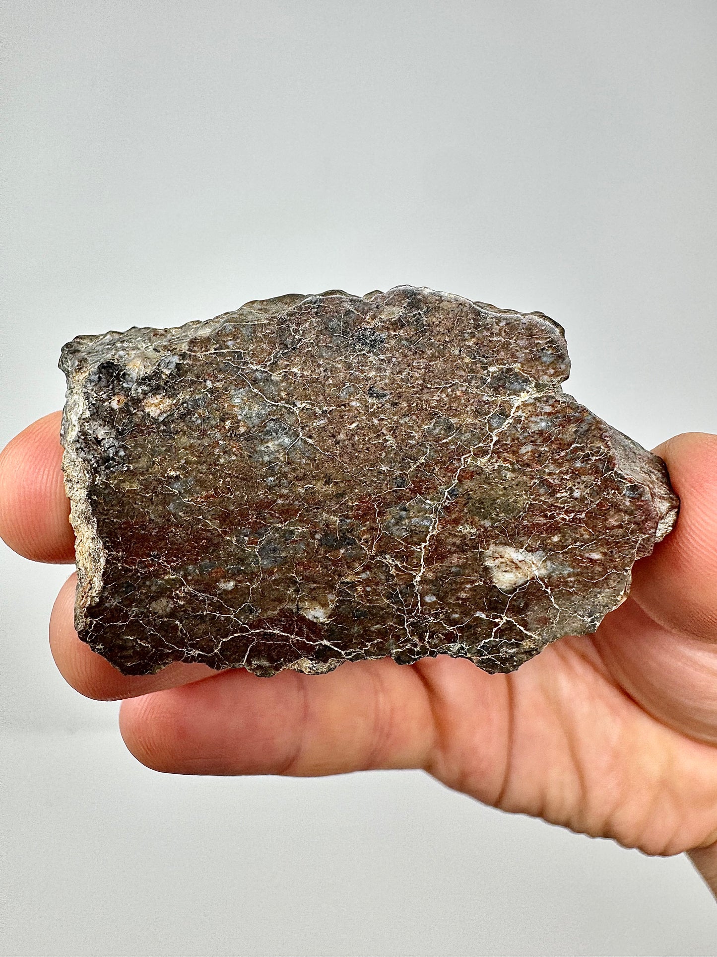 Laâyoune 002 Lunar Meteorite - POLISHED END CUT - Beautiful Shades Of Red - 55.5g