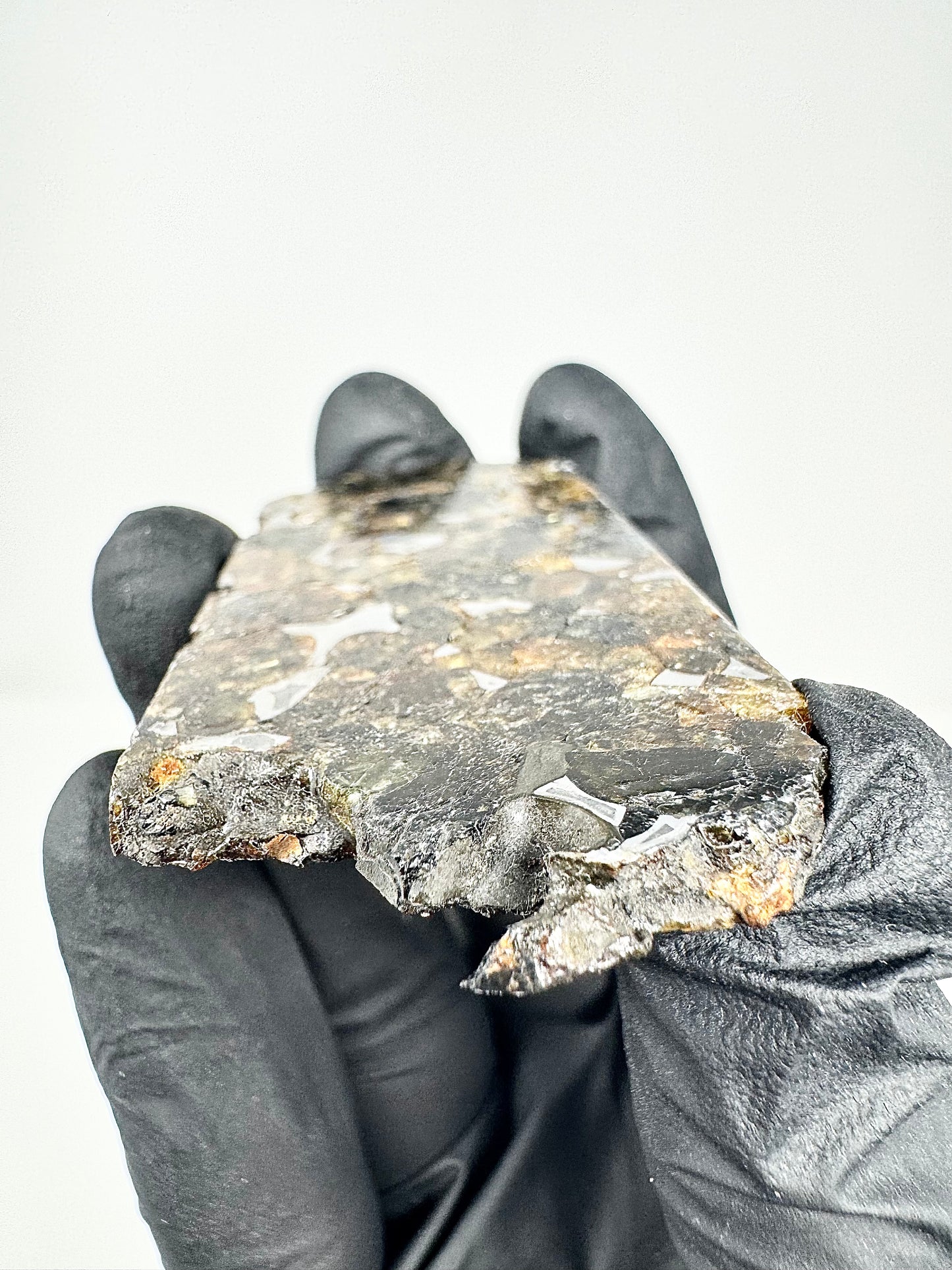 Beautifully Translucent Seymchan Pallasite Meteorite - 30.5g - From An Asteroid