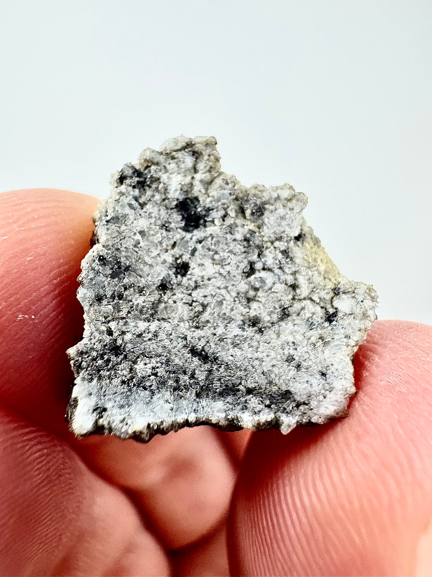 2.3g Ksar Ghilane 022 Ungrouped Achondrite - Possible Planetary Origin!
