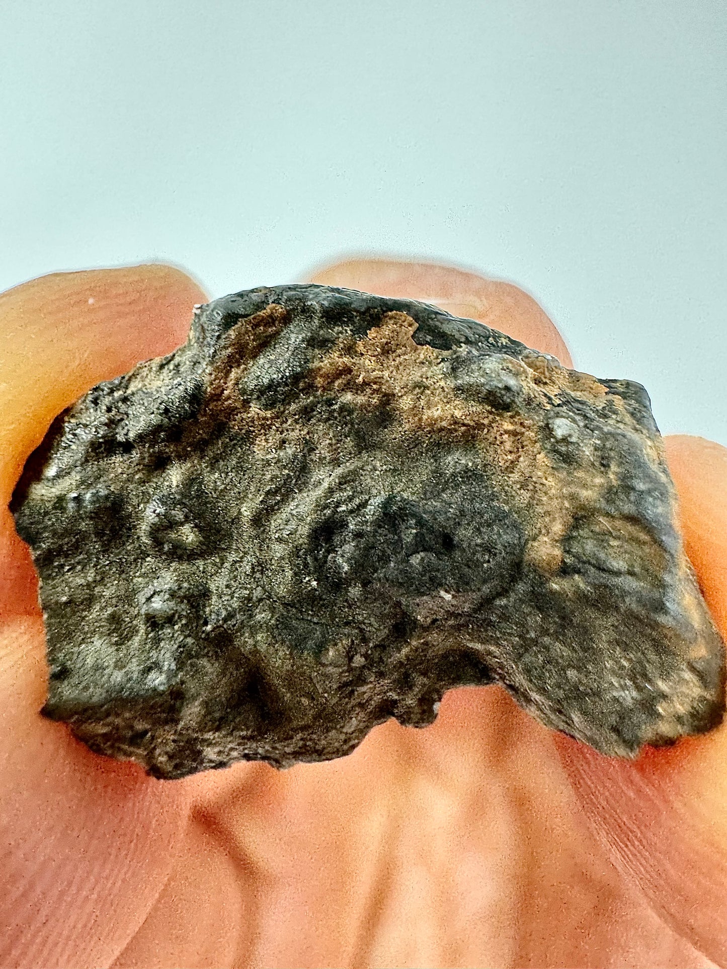 1.4g Bechar 003 Lunar Feldspathic Breccia - End Cut - From Our Moon!