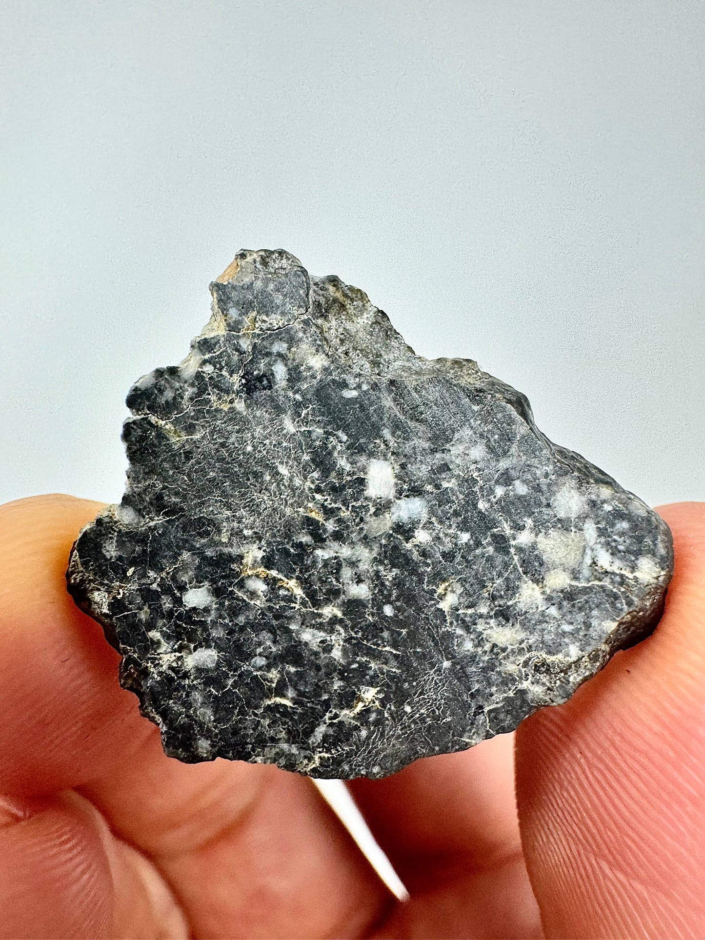 NWA 16292 - Anorthositic Gabbronorite Melt Lunar Breccia - A Piece Of Our Moon!