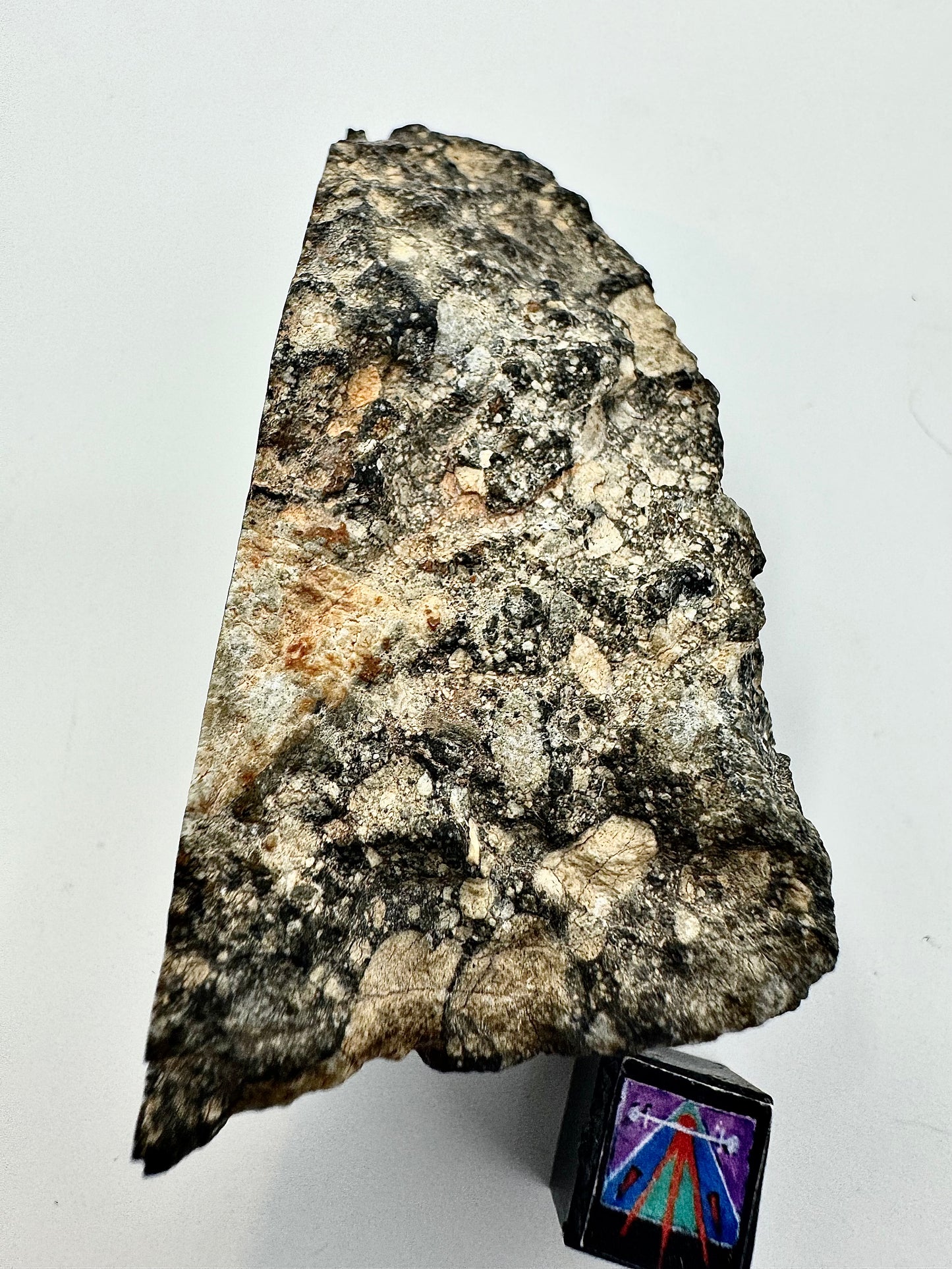 Massive Chunk of the Moon - NWA 14685 Lunar Fragmental Breccia End Cut - Polished - 80.9g