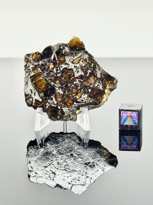 16.6g Admire Pallasite Meteorite - From The Mantle/Core Of An Asteroid - Grade B Translucency