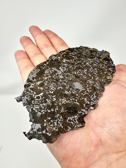 72.1g El Milhas 005 Mesosiderite Meteorite - The Estherville Lookalike!