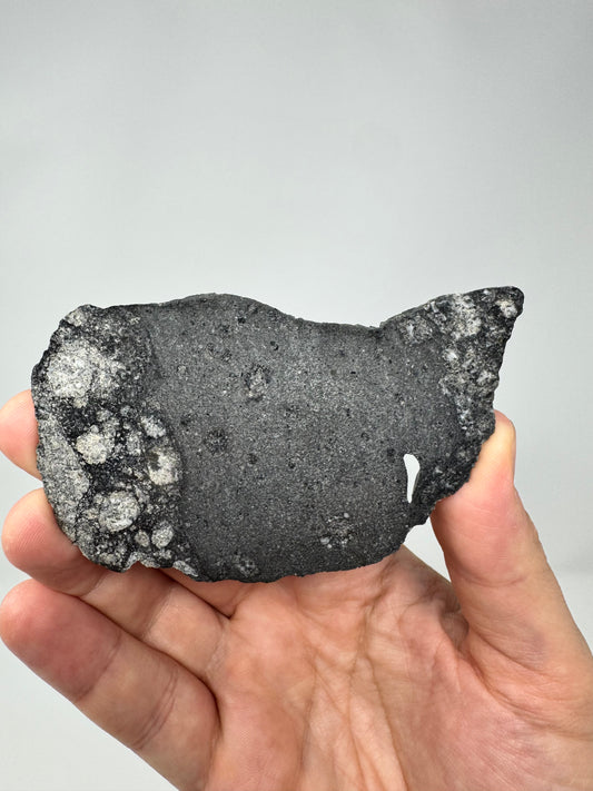 NWA 15923 Eucrite Melt Breccia Meteorite - Distinct Melt Boundary w/ Vesicles! From An Asteroid - 26.8g