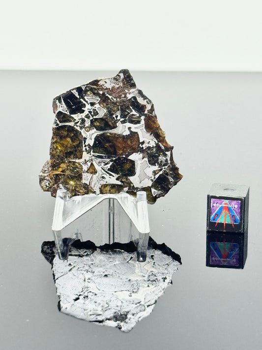 11.9g Admire Pallasite Meteorite - From The Mantle/Core Of An Asteroid - Grade D Translucency