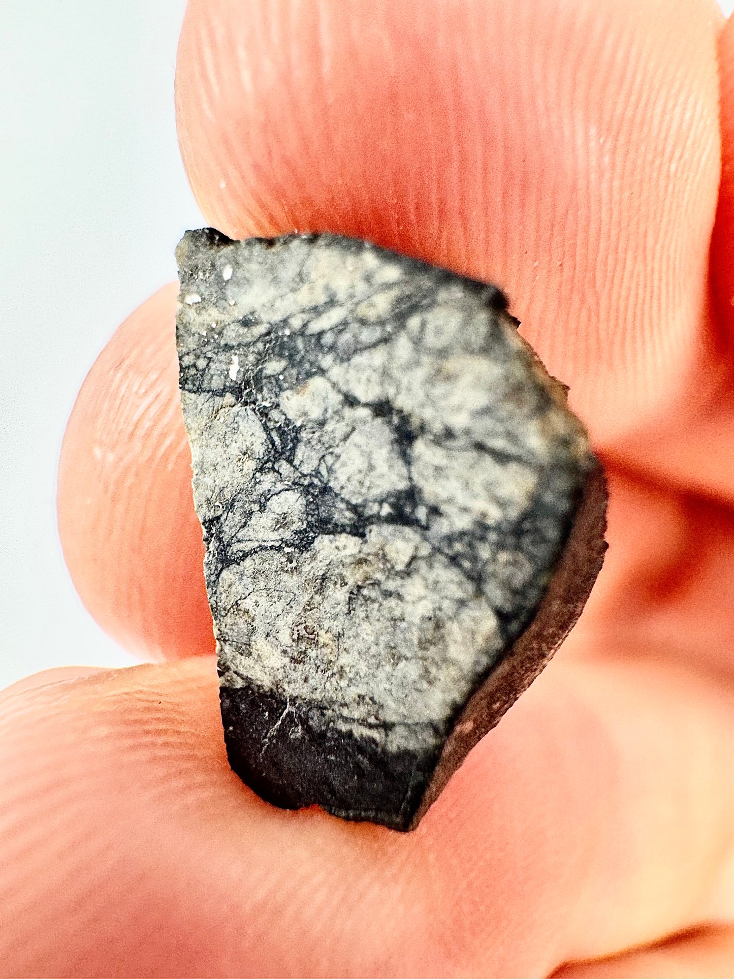 1.6g Chelyabinsk Brecciated Meteorite - End Cut - Jet Black Crust - Incredibly Fresh and Discovered Immediately After the Fall!