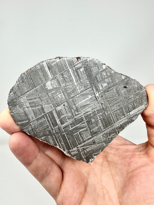 Muonionalusta Iron Meteorite - 98.5g Full Slice - From The Core Of An Asteroid!