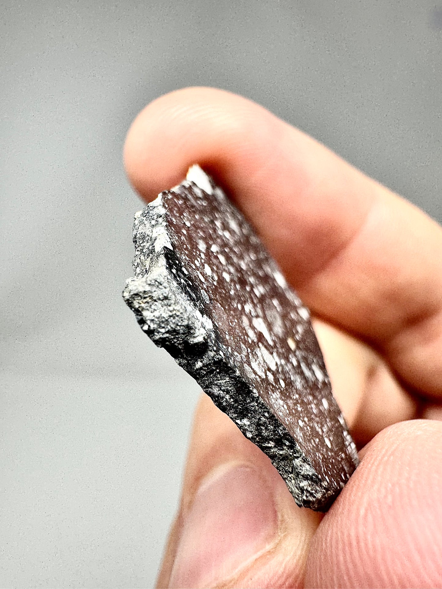 A Brand New, Under Classification Lunar Breccia - A Genuine Piece Of Our Moon! 3.7g
