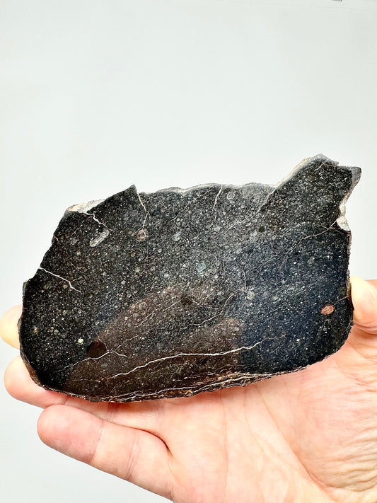 NWA 15825 L3 Chondrite Meteorite - Jet Black and Packed With Chondrules - 75.4g - From An Asteroid