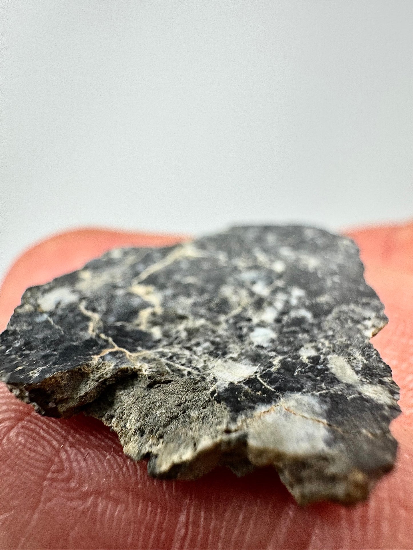 NWA 16292 - Anorthositic Gabbronorite Melt Lunar Breccia - A Piece Of Our Moon!