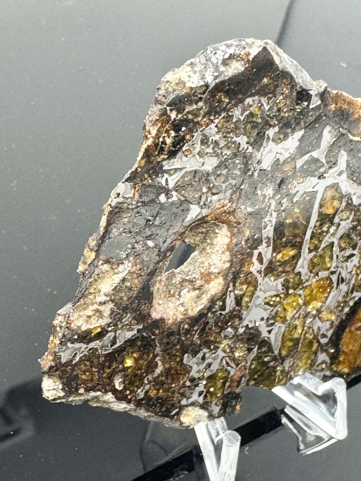 36.3g Admire Pallasite Meteorite w/ Natural Hole! From The Mantle/Core Of An Asteroid - Grade B Translucency