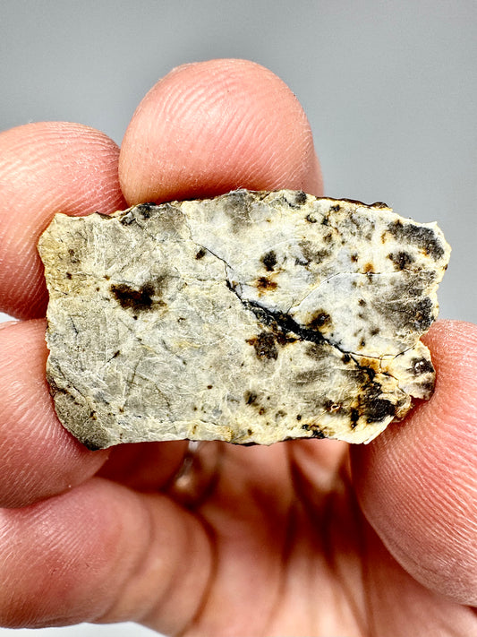 Beautiful Marble-Like Djoua 001 Enstatite Achondrite Meteorite - 3.2g