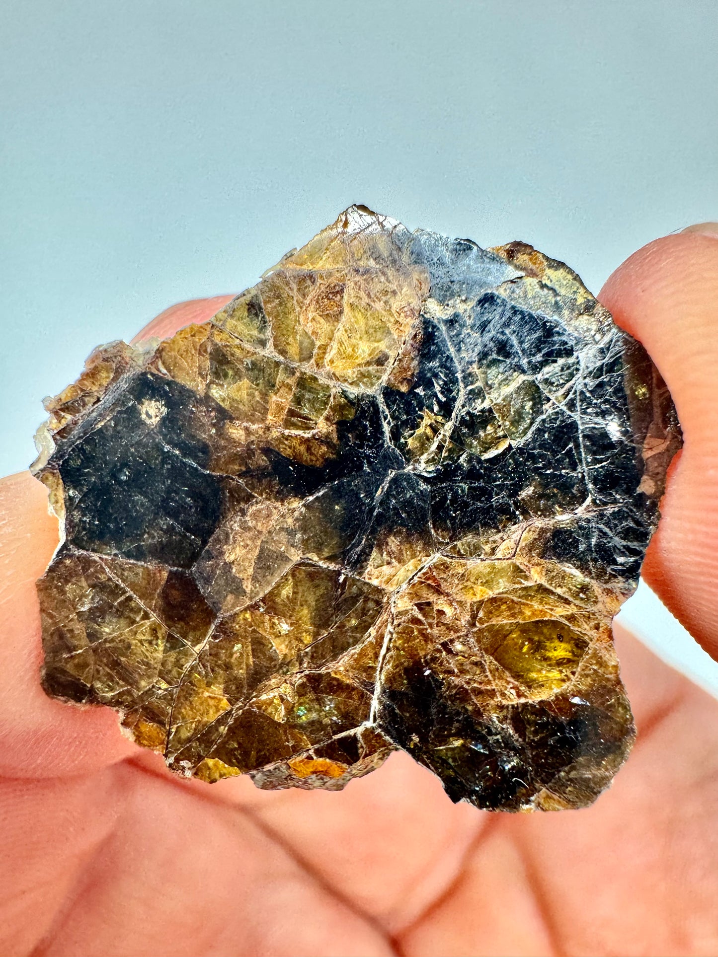 Seymchan Pallasite Meteorite - Huge Olivine Section! 5.6g