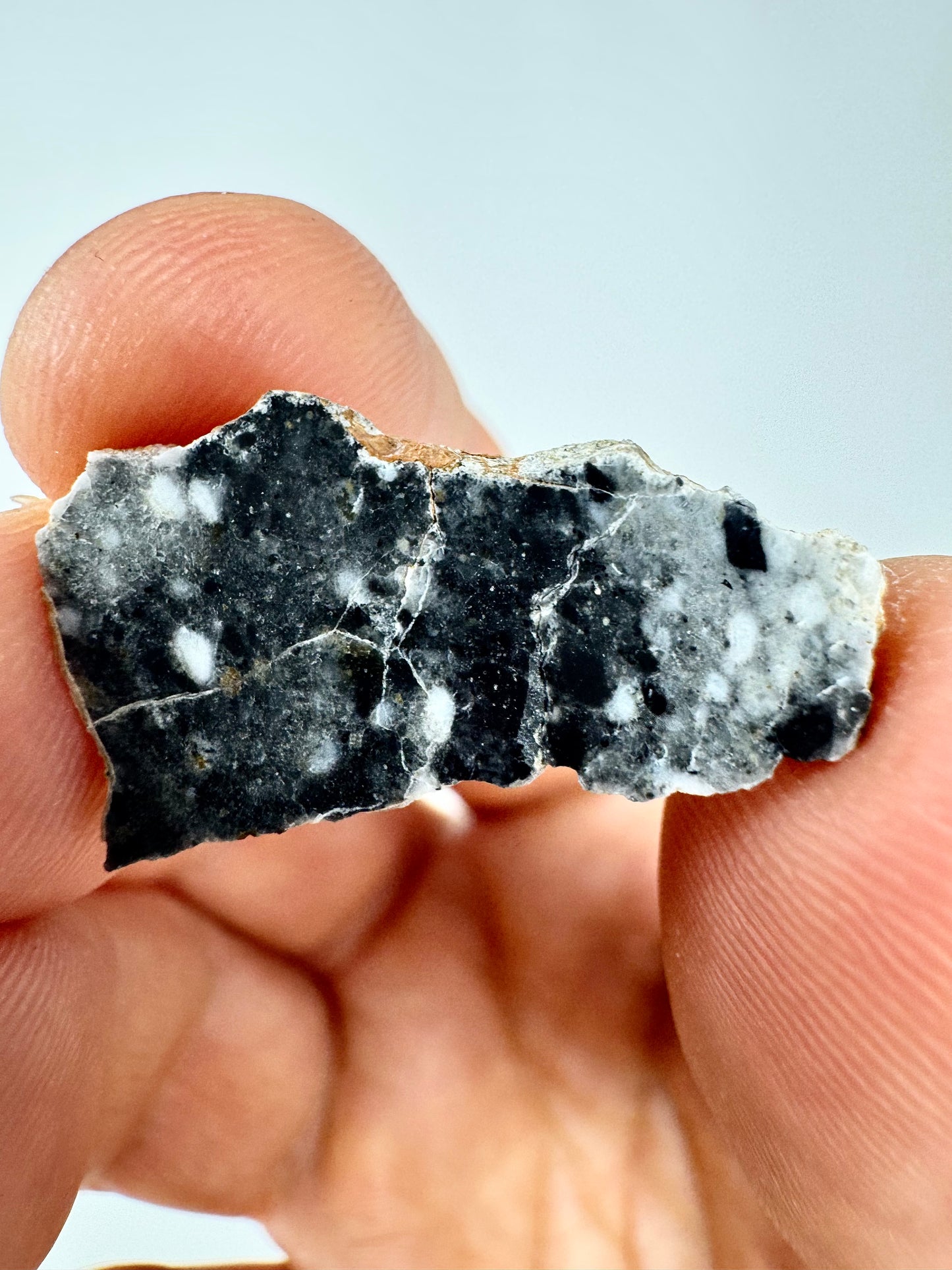 1.8g Bechar 003 Lunar Feldspathic Breccia - From Our Moon!