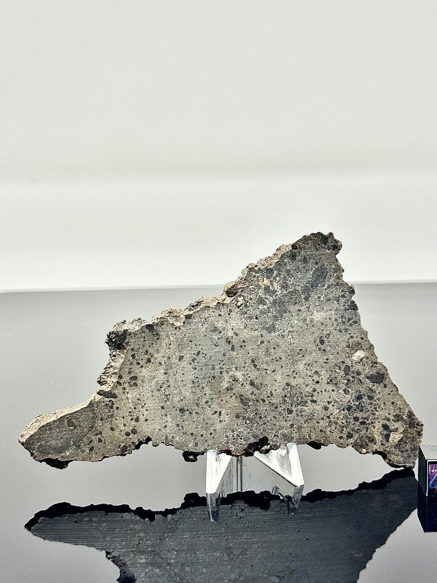 Unique and Rare NEA 089 Lunar Troctolitic Melt - 23.5g Full Slice - Lunar Meteorite From Deep Within The Moon’s Crust