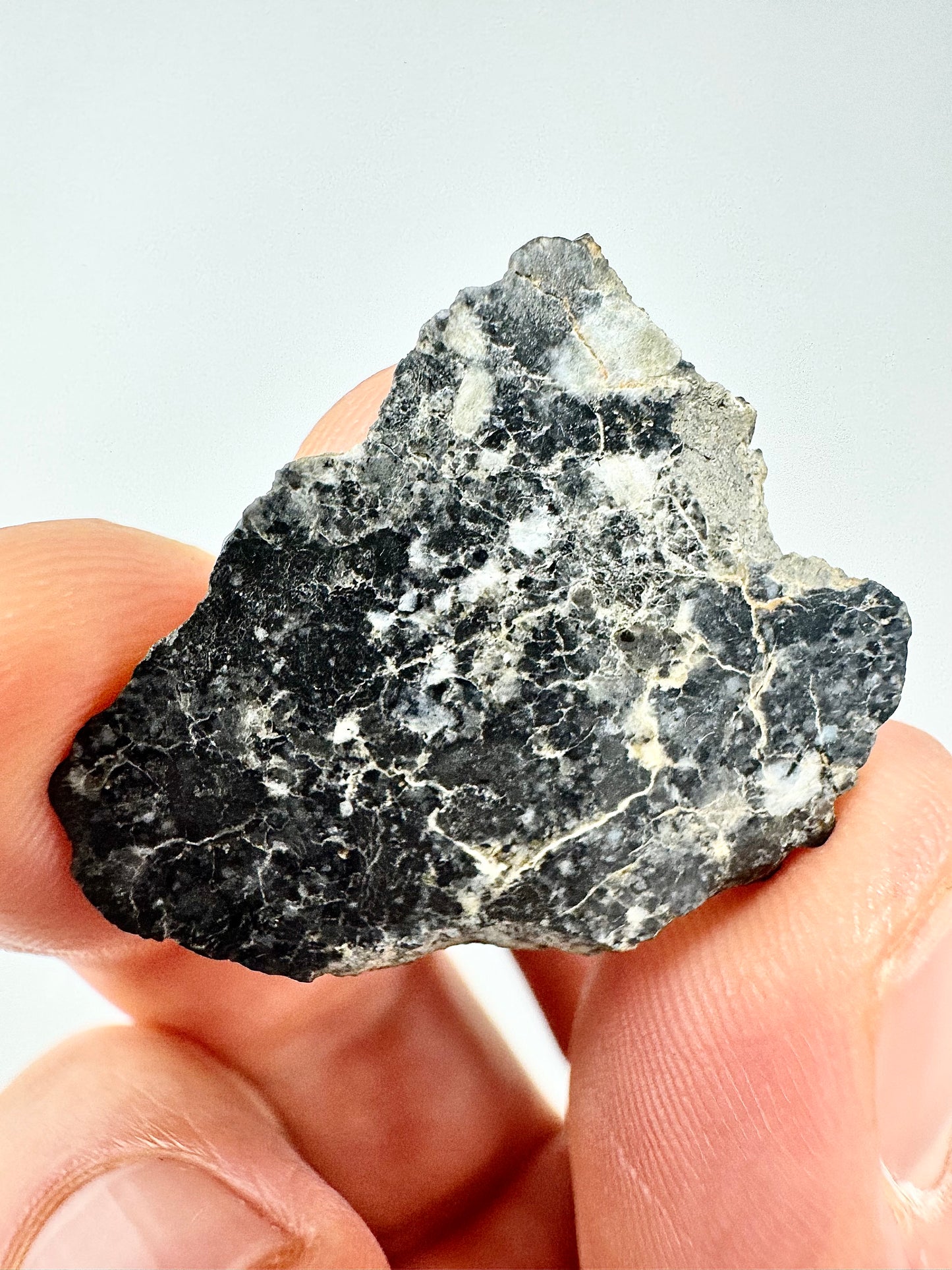 NWA 16292 - Anorthositic Gabbronorite Melt Lunar Breccia - A Piece Of Our Moon!