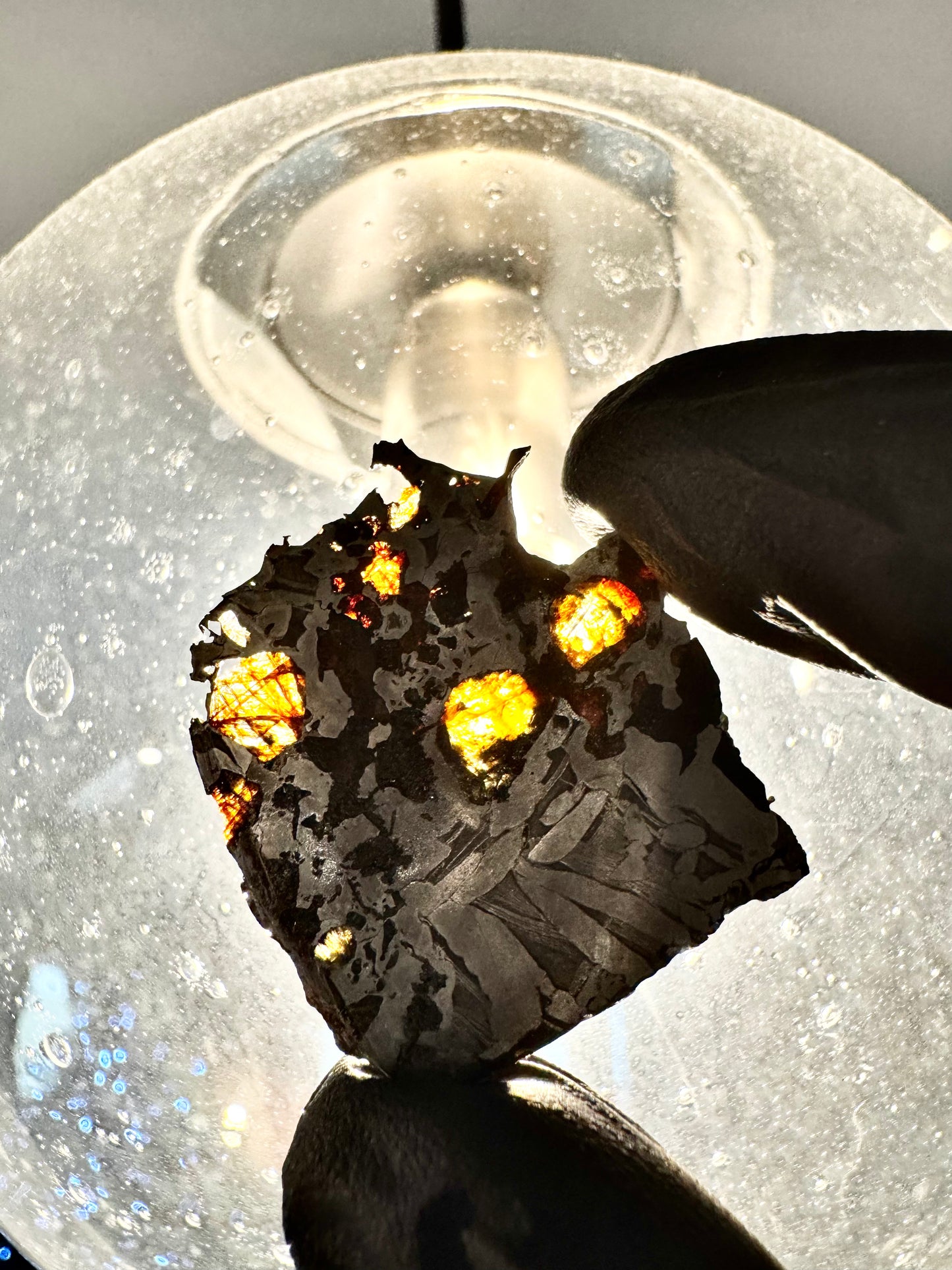 Seymchan Pallasite Meteorite - 7.0g