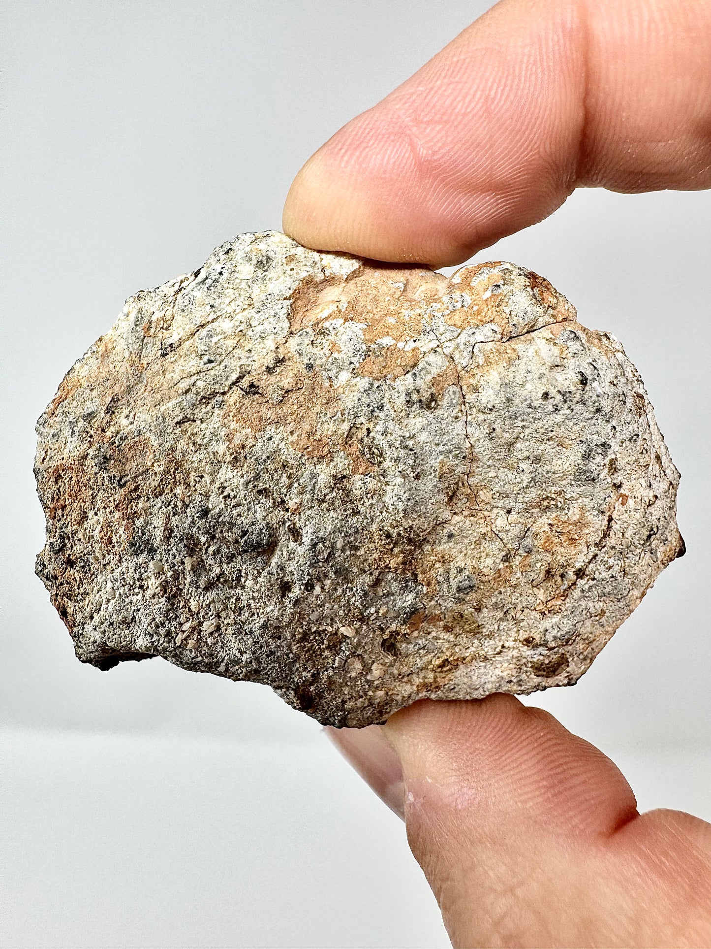 Beautiful Bechar 003 Lunar Feldspathic Breccia - END CUT - 45.7g - A Piece Of Our Moon!