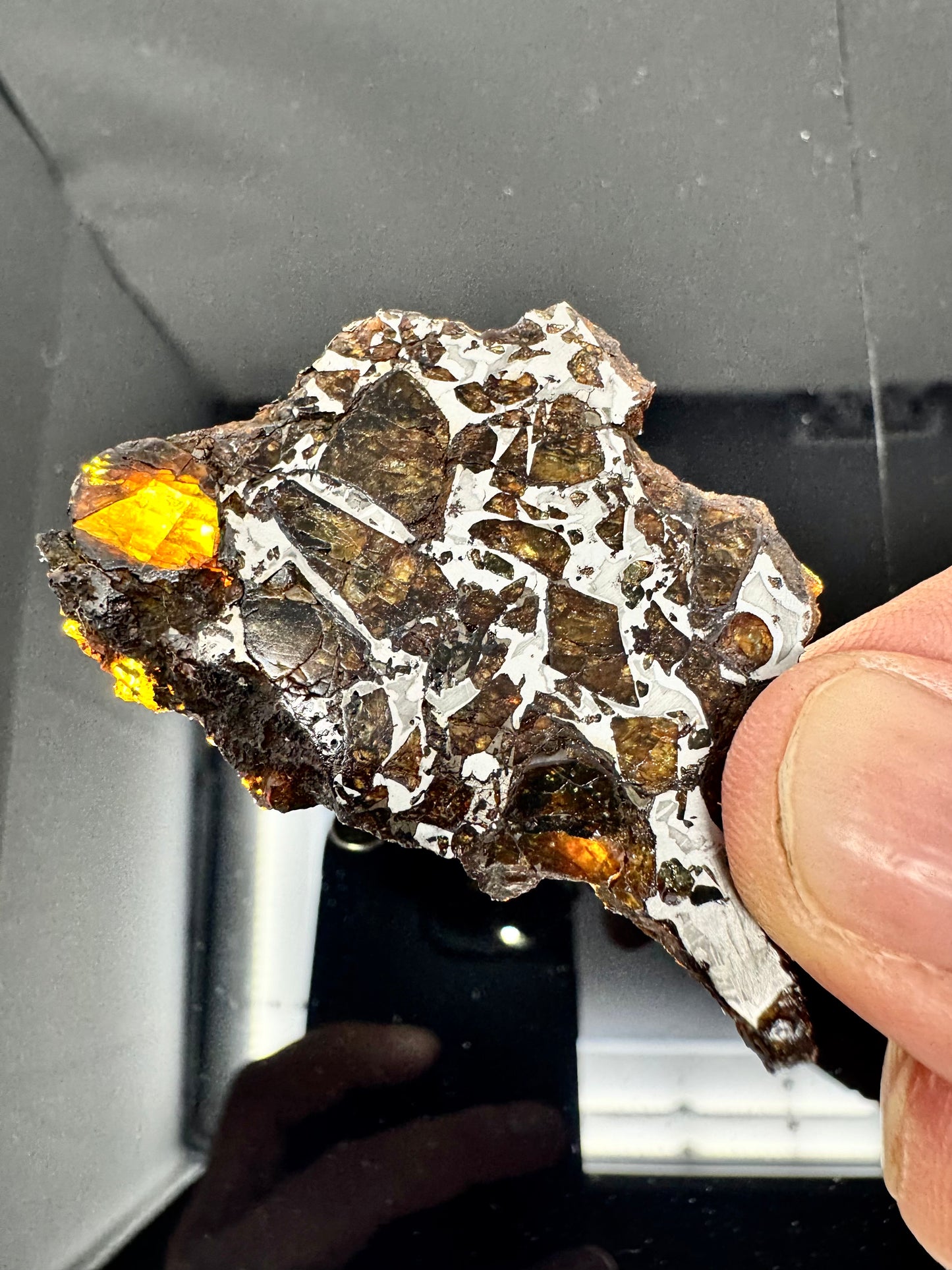 18.0g Admire Pallasite Meteorite - From The Mantle/Core Of An Asteroid - Grade B Translucency