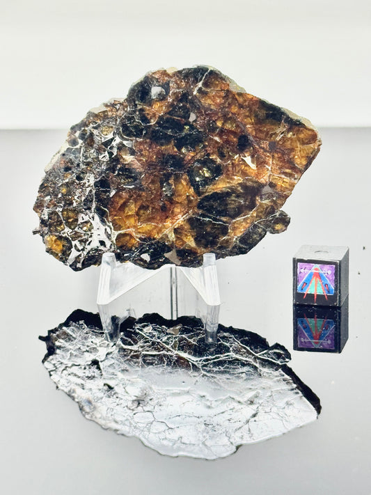 21.5g Admire Pallasite Meteorite - From The Mantle/Core Of An Asteroid - Grade B+ Translucency