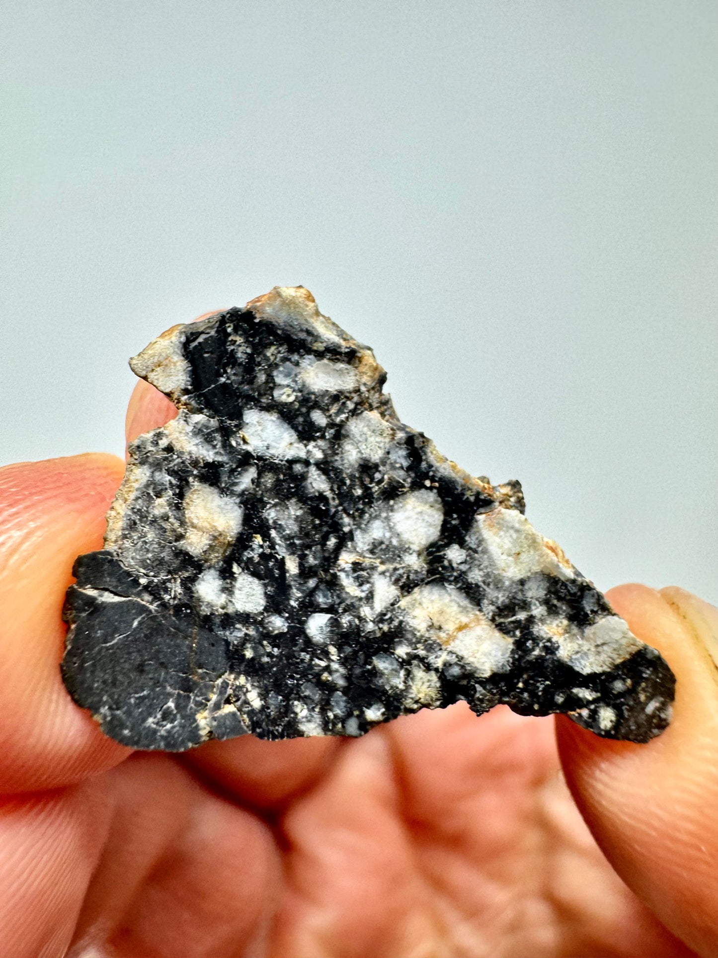 Stunning 1.7g Bechar 009 Lunar Feldspathic Breccia - Polished