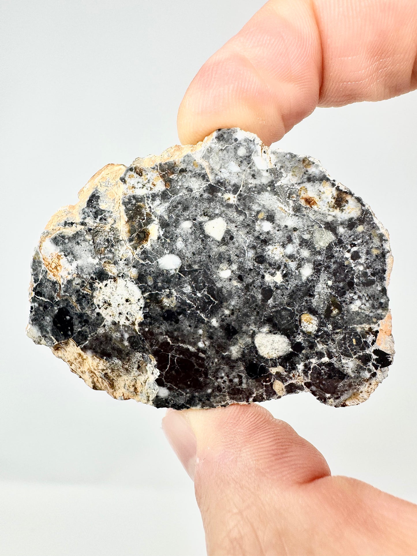 Beautiful Bechar 003 Lunar Feldspathic Breccia - END CUT - 45.7g - A Piece Of Our Moon!