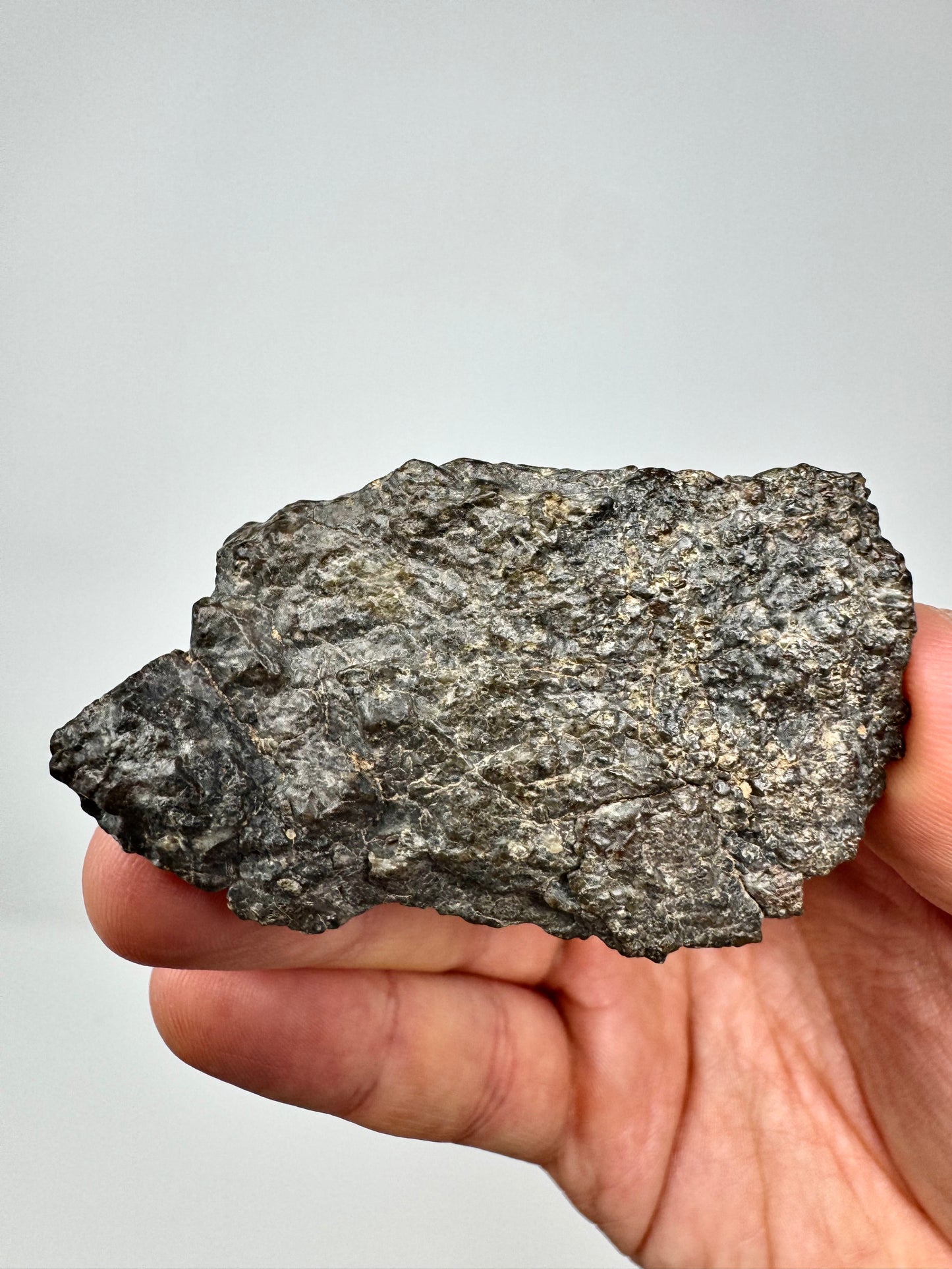 Laâyoune 002 Lunar Meteorite - POLISHED END CUT - Beautiful Shades Of Red - 55.5g