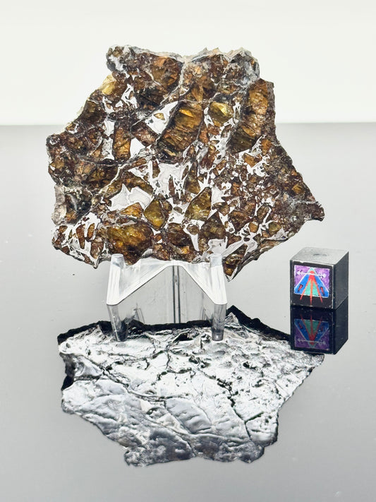 31.7g Admire Pallasite Meteorite - From The Mantle/Core Of An Asteroid - Grade B Translucency
