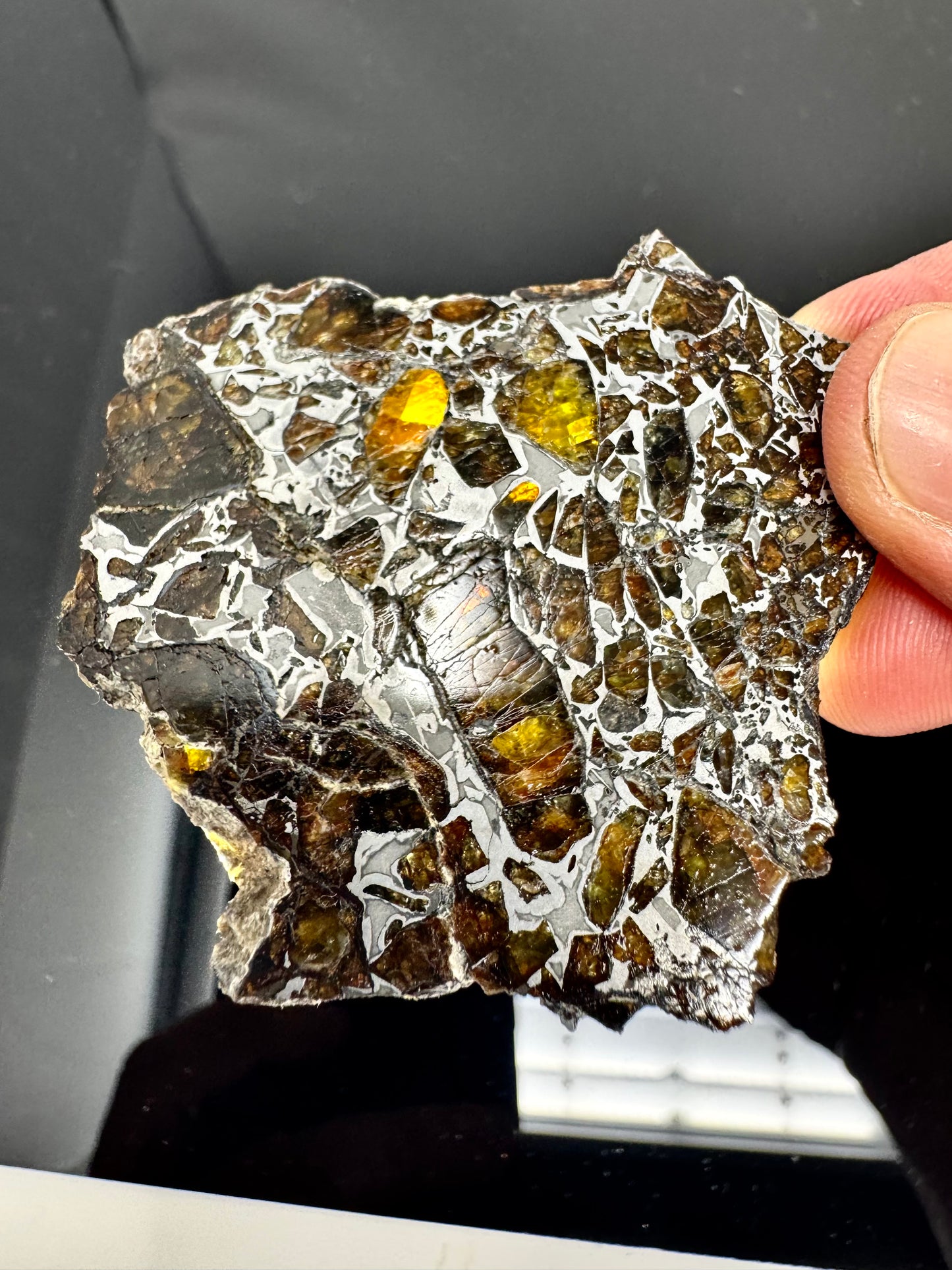 31.7g Admire Pallasite Meteorite - From The Mantle/Core Of An Asteroid - Grade B Translucency