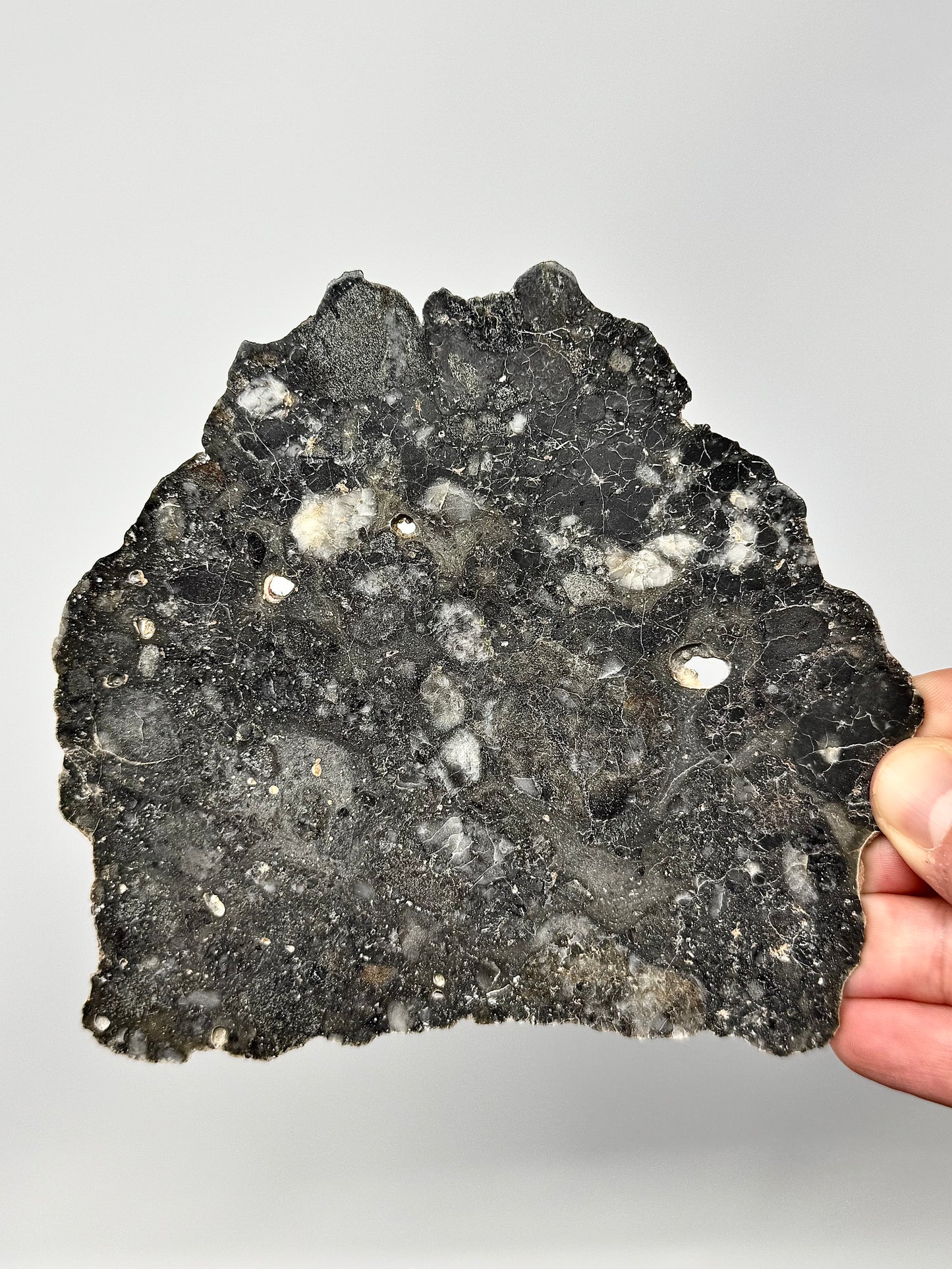 79.8g Lunar Troctolitic Melt - Full Slice - A Rare Lunar Meteorite