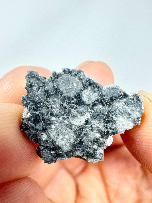 Gadamis 003 Lunar Meteorite - Ferroan Anorthosite, Cataclastic - “The Apollo Lunar” - 2.5g