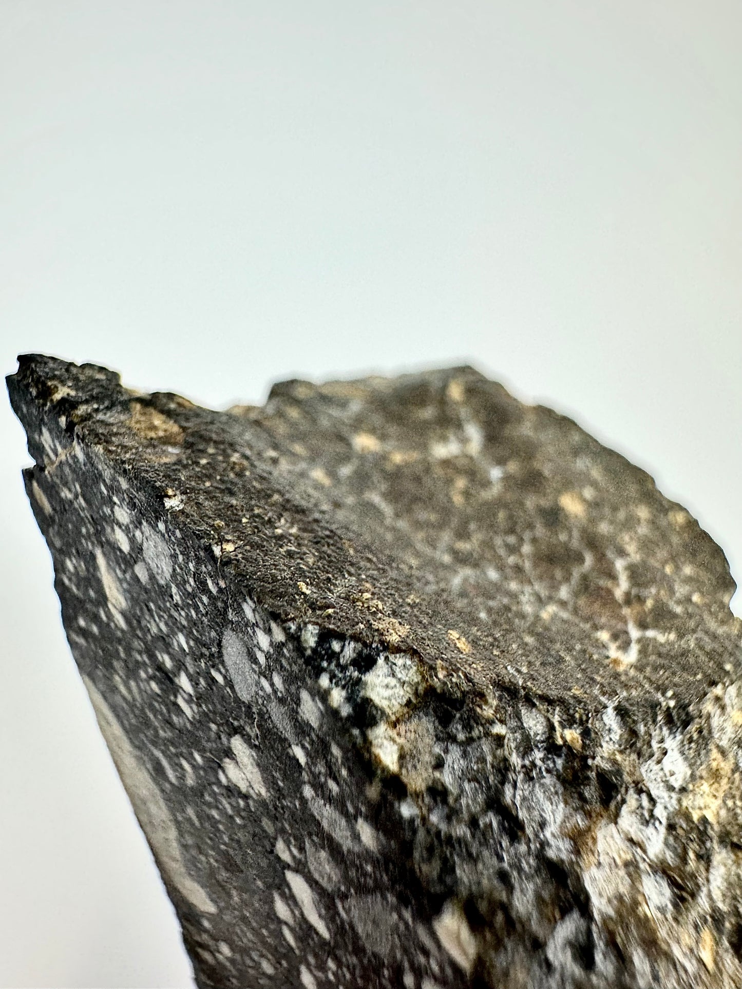 Massive Chunk of the Moon - NWA 14685 Lunar Fragmental Breccia End Cut - Polished - 80.9g