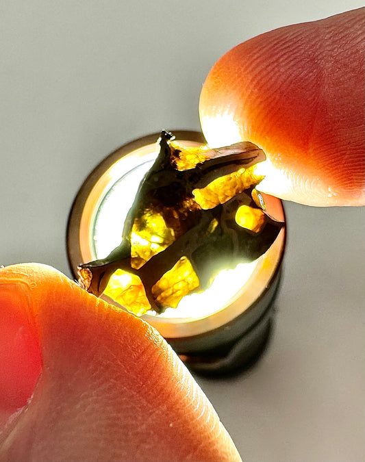 Brahin Pallasite Meteorite - 1.5g - From The Mantle/Core Of An Asteroid - Grade A Translucency