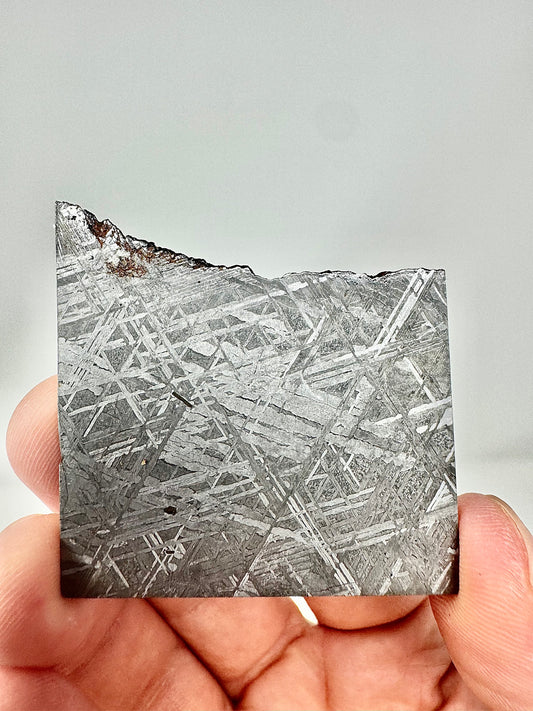 Muonionalusta Iron Meteorite - Part Slice - From The Core Of An Asteroid!
