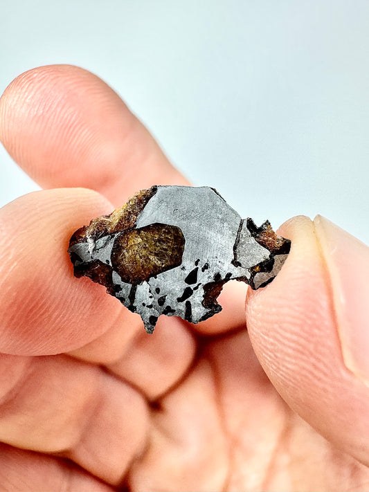 Hassi El Biod 002 Meteorite - 1.0g END CUT - A Rare, Ungrouped Olivine/Pyroxene Pallasite!