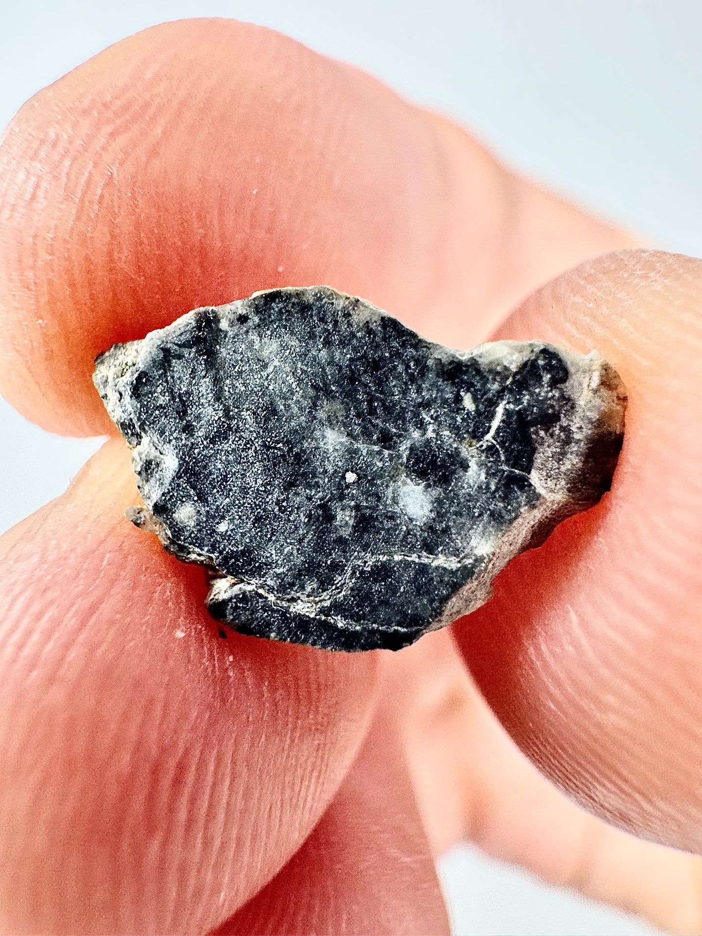 Beautiful Bechar 003 Lunar Feldspathic Breccia- 0.5g - A Piece Of Our Moon!