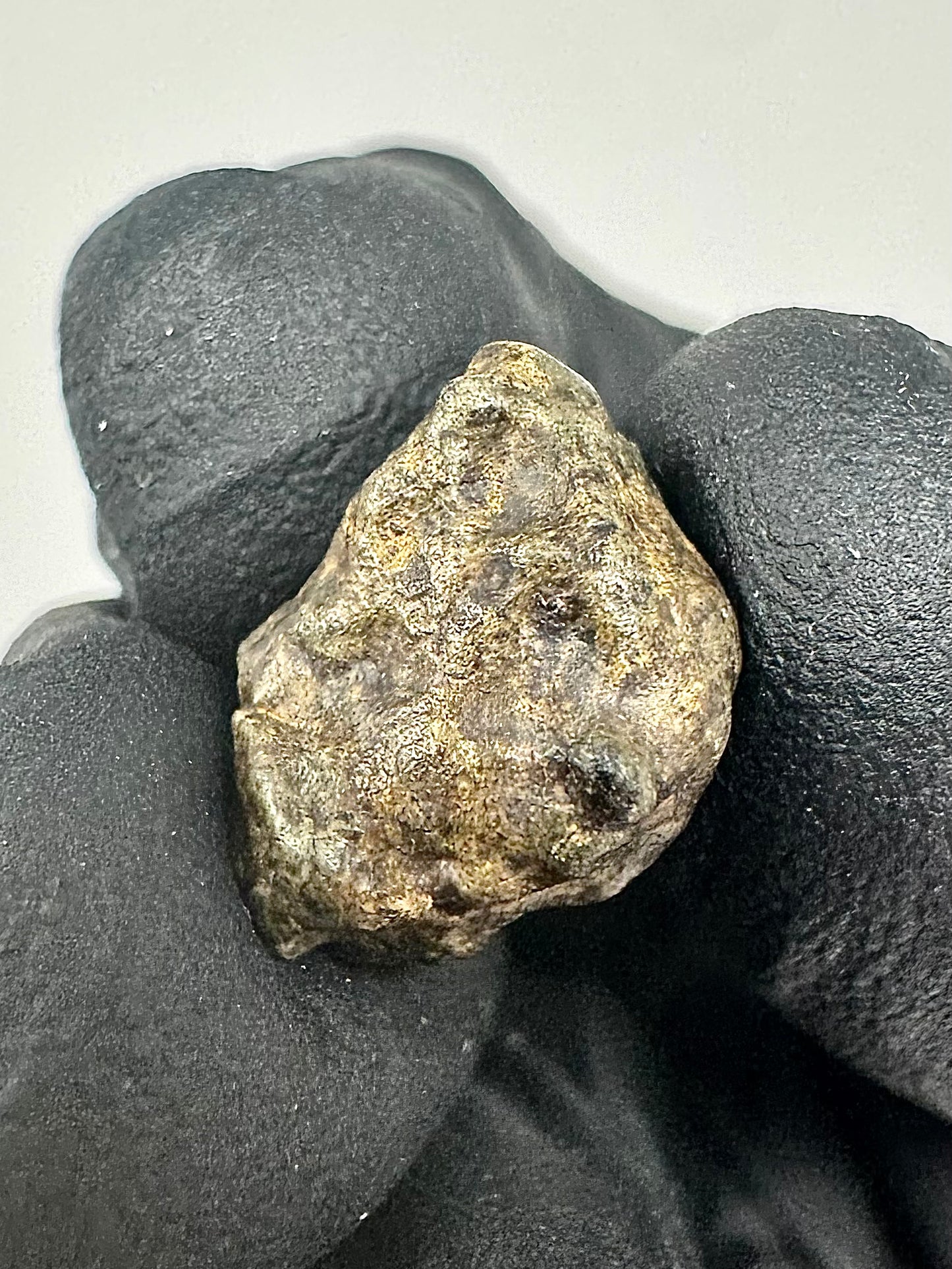 3.1g Genuine Martian Meteorite Amgala 001 - Whole Individual! Scientifically Studied Rock From Planet Mars