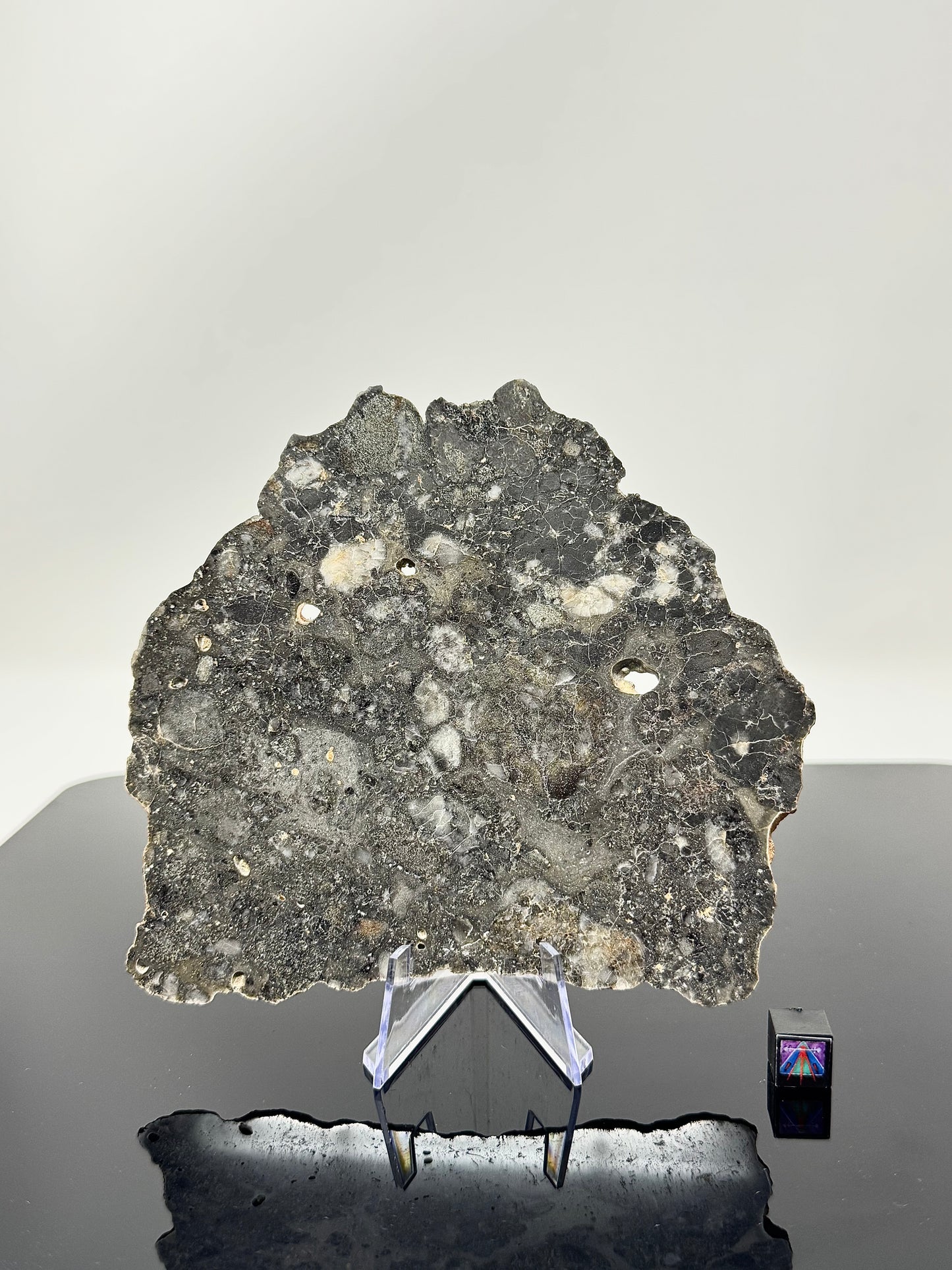 79.8g Lunar Troctolitic Melt - Full Slice - A Rare Lunar Meteorite