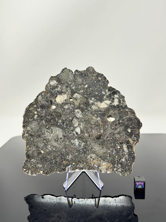 79.8g Lunar Troctolitic Melt - Full Slice - A Rare Lunar Meteorite