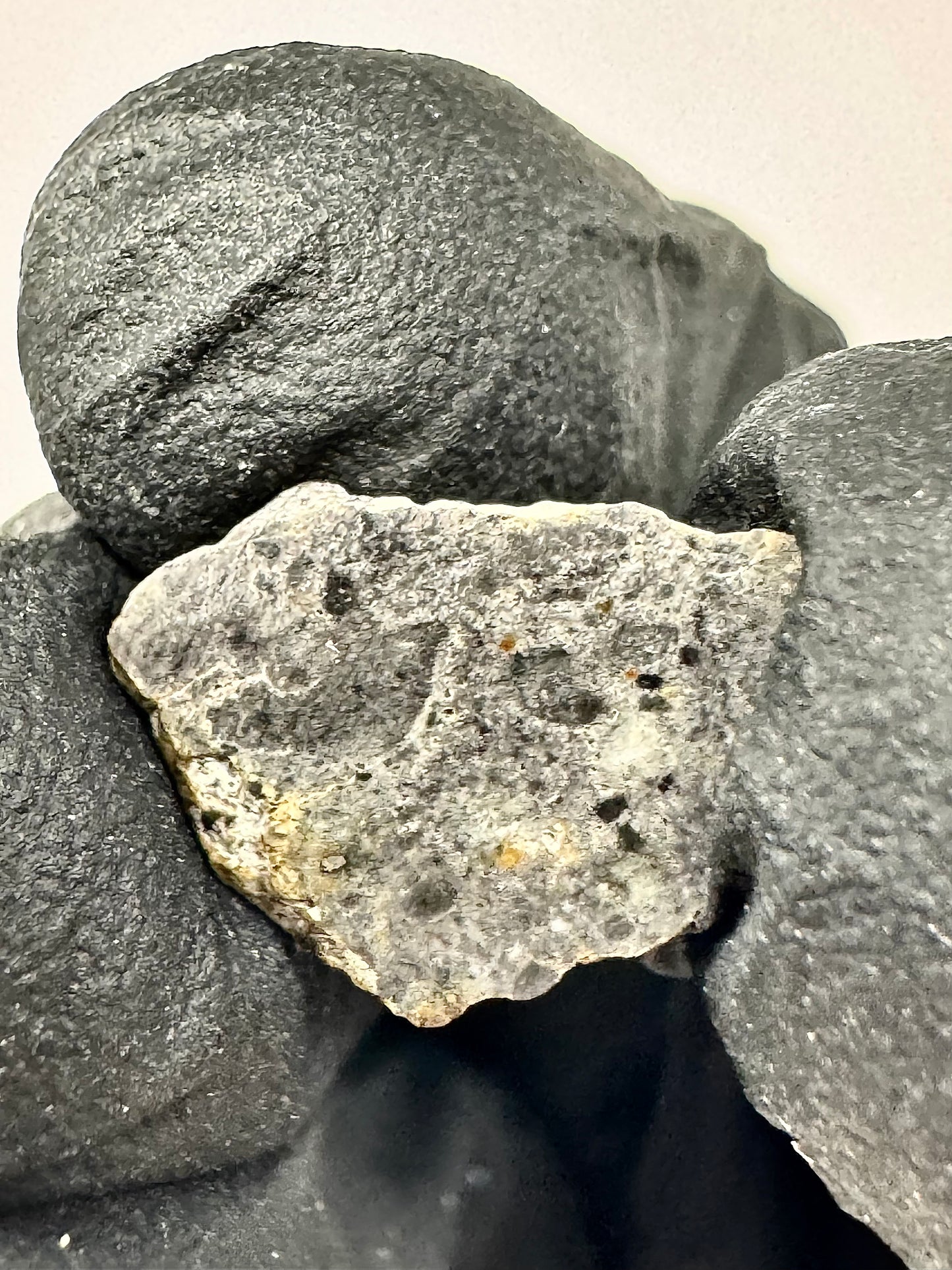 NWA 14681 Lunar Troctolitic Anorthosite - Rare Lunar Meteorite From the Lunar Highlands - 0.6g