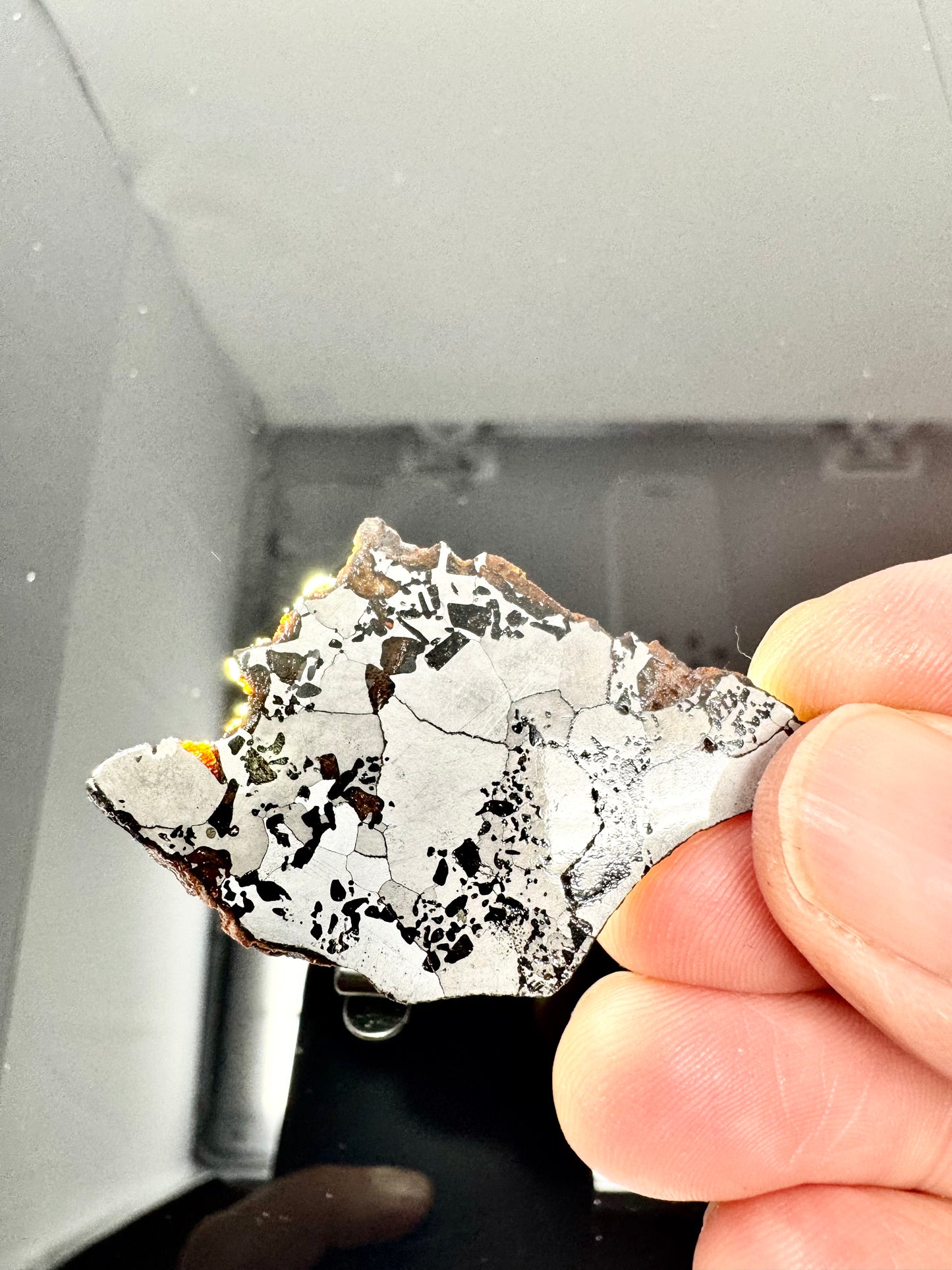 Hassi El Biod 002 Meteorite - Some Translucency On Outer Edge - 9.3g - A Rare, Ungrouped Olivine/Pyroxene Filled Pallasite!